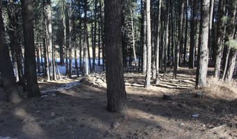 Lot 608 Via Del Rey, Angel Fire, NM 87710