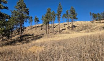 620 Davis Ranch Rd, Bellvue, CO 80512