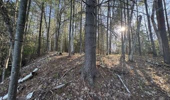 V/L Wildwood Road lot 9, Alger, MI 48610