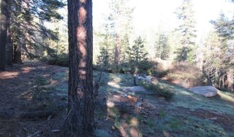 175 Silver Tip Dr, Bear Valley, CA 95223