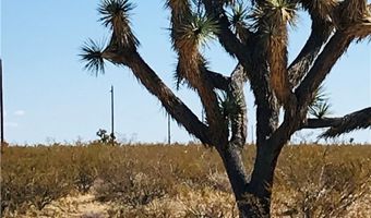 6 D E Red Barrel Rd, Yucca, AZ 86438