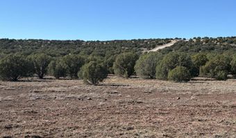 N8715, Concho, AZ 85924