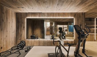 5387 Castle Creek Rd, Aspen, CO 81612