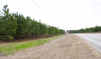 TBD Highway 167, Enterprise, AL 36330