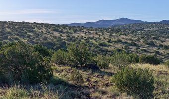 TR 57R Sierra La Rana, Alpine, TX 79830