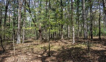 S Badger Lane lot 38, Arkdale, WI 54613