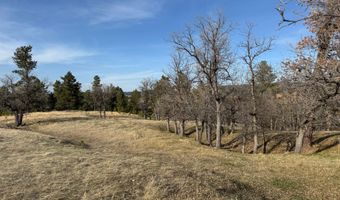 Tract 5 Lone Elk Ranch, Alva, WY 82711
