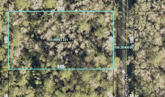 10445 Weatherby Ave, Hastings, FL 32145