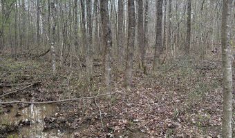 Hwy 9, Blue Springs, MS 38828