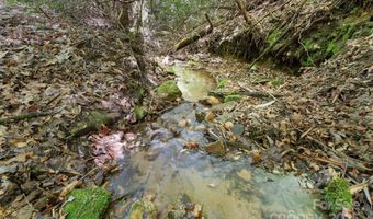 1557 Shoal Creek Rd, Balsam Grove, NC 28708