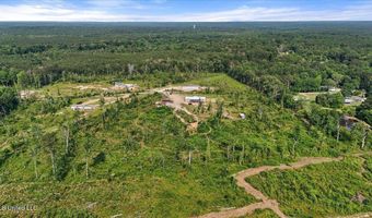 135 Sawmill Rd, Braxton, MS 39044