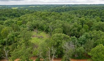 14 5 Neil Robinson Rd, Anderson, MO 64831