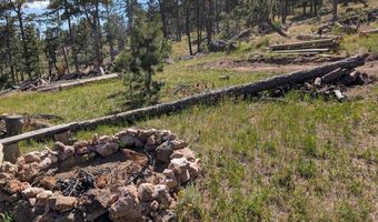 Old Camp Rd, Bellvue, CO 80512