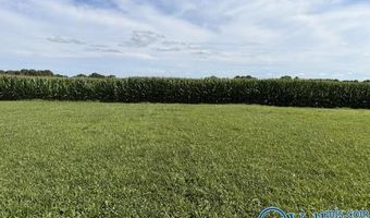 4192 Elkwood Section Rd, Ardmore, AL 35739
