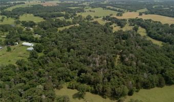 9 2 Acres CR 471, Teague, TX 75860