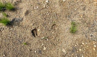 NHN Perkins Gulch Road, Anaconda, MT 59711