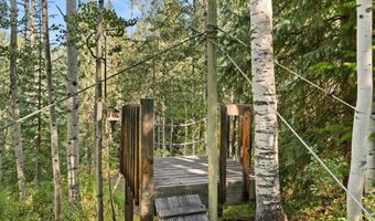 9555 Castle Creek Rd, Aspen, CO 81611