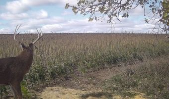 00000 CR 140, Alexander, KS 67513