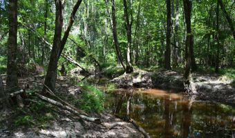 0 County Rd 22, Auburn, AL 36830