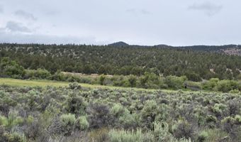 River Bank Drive, Beatty, OR 97621