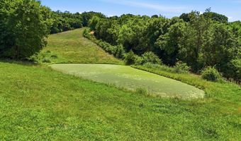 3349 Mud Springs Rd, Anderson, MO 64831