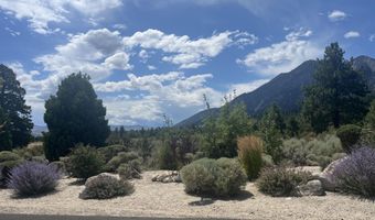 233 Sierra Country Cir, Gardnerville, NV 89460