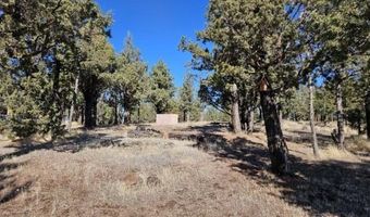 226 Hilltop, Alturas, CA 96101