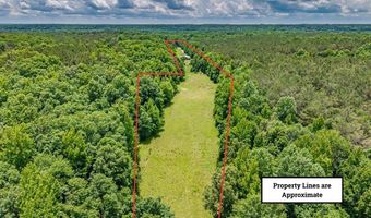 178 Mule Pulling Rd, Belden, MS 38863