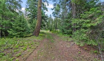 Nna Mesa Drive, Careywood, ID 83809