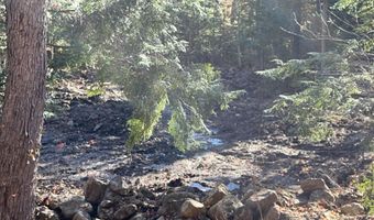 00 Dundee Rd 102, Bartlett, NH 03812