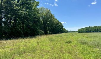 0005 Johnson Line Rd, Bolton, MS 39041