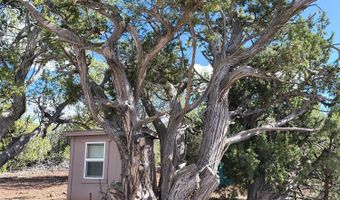 0 Westwood Rnch, Ash Fork, AZ 86320