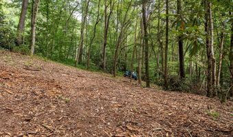 2 9 AC Chestnut Flats Rd, Andrews, NC 28901