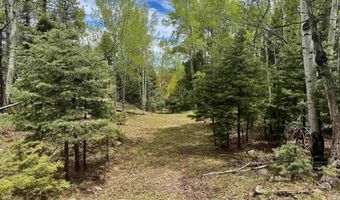 Lot 455 El Camino Real, Angel Fire, NM 87710