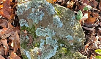 4775 S 50th Rd, Aldrich, MO 65601