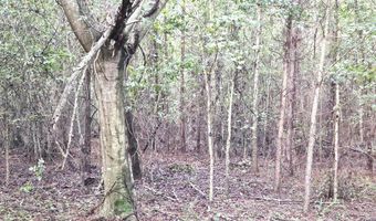 TBD Plowden Mill Road Tract D, Alcolu, SC 29001