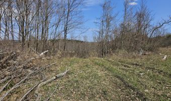 295 Shellstone Rd, Amsterdam, NY 12010