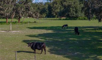 1040 BACKBONE Rd, Babson Park, FL 33827