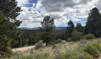 San Mateo Drive lot 1292, Angel Fire, NM 87710