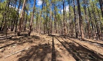 249 Timber Dr, Bayfield, CO 81122