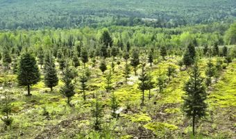 374 Crank Rd, Bloomfield, VT 05905