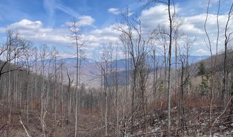140 Wild Mountain Ln, Barnardsville, NC 28709