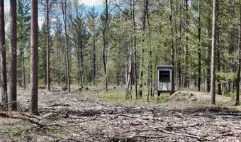 5826 S Morrison Rd, Alger, MI 48610