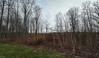 VL Rutledge Avenue, Ashtabula, OH 44041