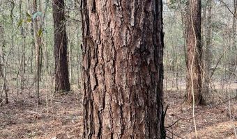 5000 County Road 53, Banks, AL 36005