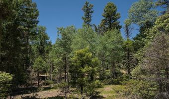 97 Zia Rd, Angel Fire, NM 87710