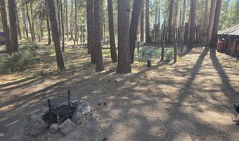 Smith Drive lot 5, Beatty, OR 97621