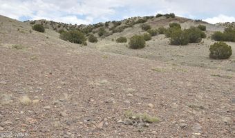88 B County Road 5035, Concho, AZ 85924