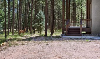 39 San Andres Dr, Angel Fire, NM 87710