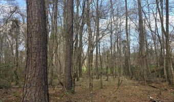 U.S. Highway 51, Bogue Chitto, MS 39629